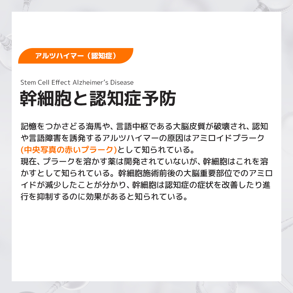 幹細胞03