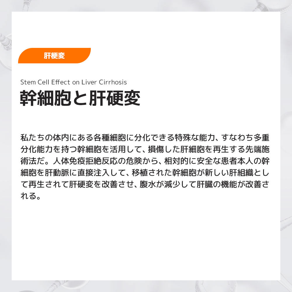 幹細胞11