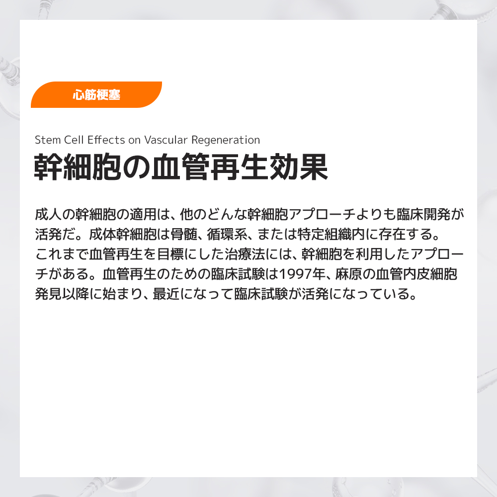 幹細胞13