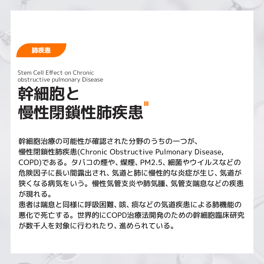 幹細胞15