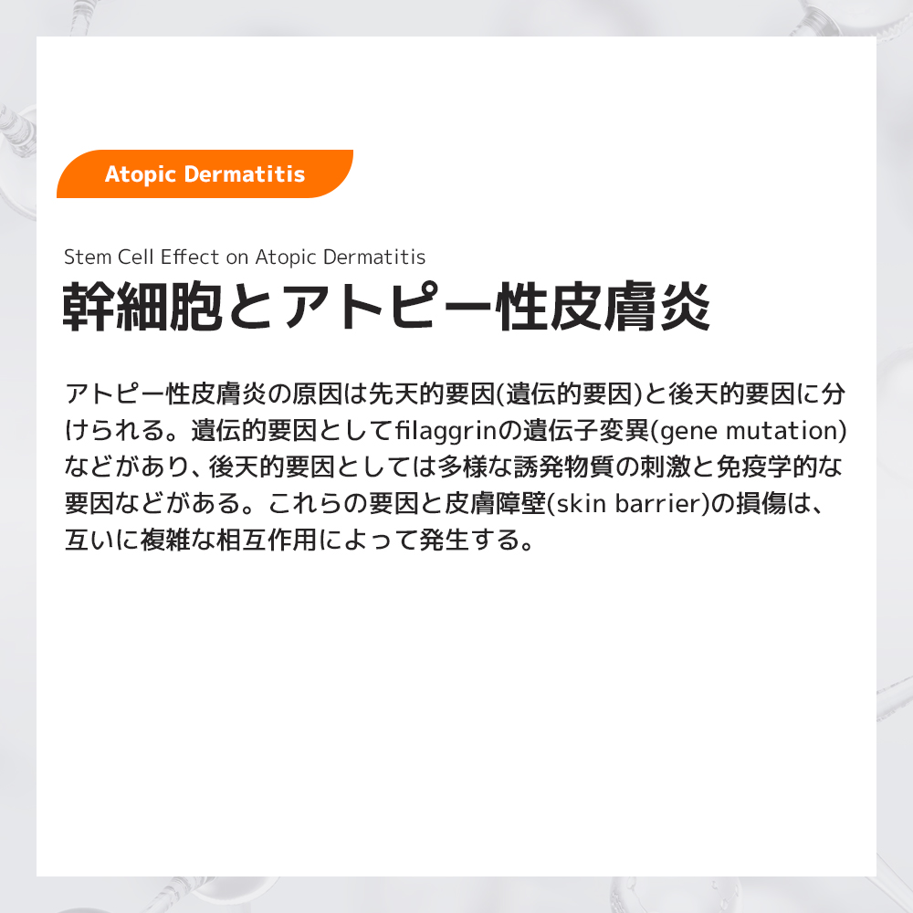 幹細胞19